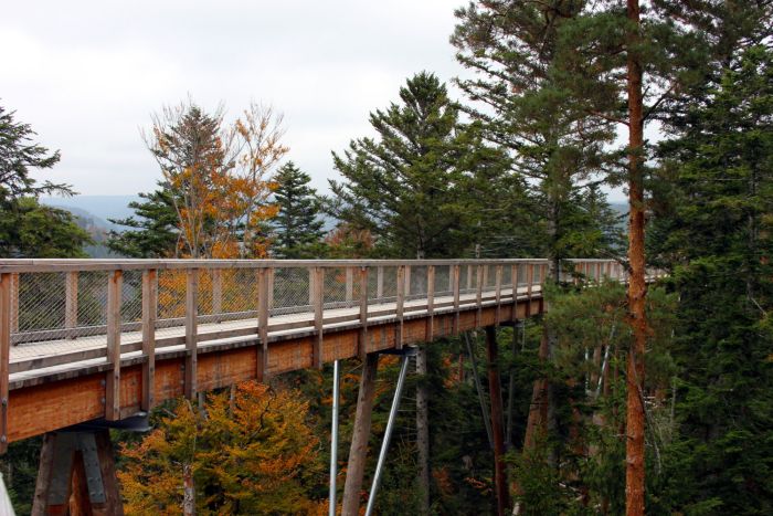 Ausflugsziele Harz
